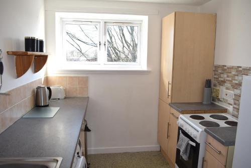 福尔柯克Kelpies Serviced Apartments- Abbotsford的厨房配有炉灶和窗户。