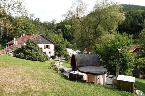 拉莎贝尔La petite ferme的一个带烧烤架和桌子的后院