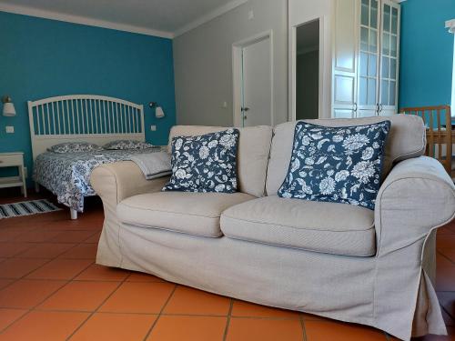 新蒙特莫尔MirArte的客厅里配有一张带两个枕头的沙发