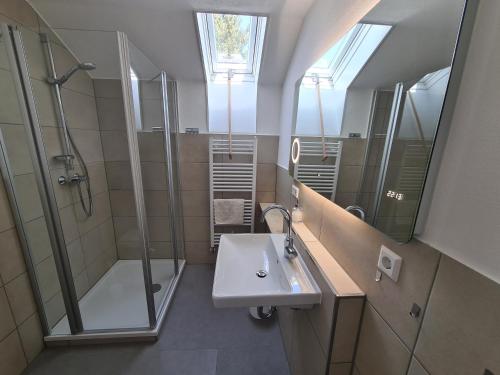 农嫩霍恩Seeblick Kampf mit Fahrradgarage的一间带水槽、淋浴和镜子的浴室
