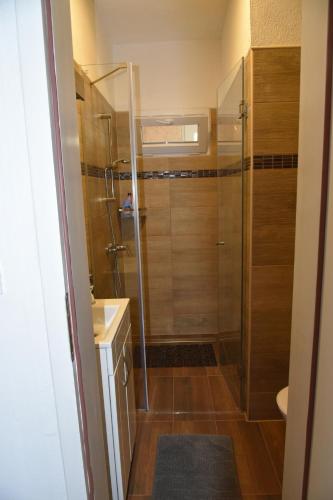 Ličko Petrovo SeloRooms Bobic的带淋浴的浴室和玻璃门