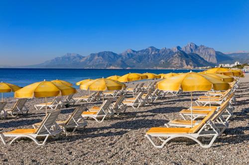 安塔利亚奥兹肯玛克法莱酒店的海滩上的一组椅子和遮阳伞