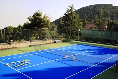 尼科洛西埃特纳胡特酒店的网球场,有两个人站在