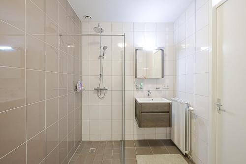 登海尔德De Jutter的带淋浴和盥洗盆的浴室