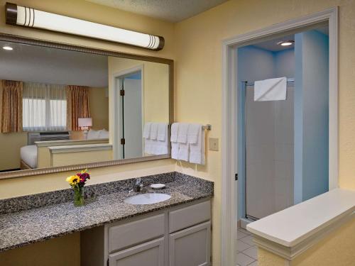 纽瓦克威尔明顿纽瓦克圣淘沙集团酒店的一间带水槽和镜子的浴室