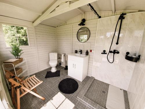 VaboleGuest house Laimes taure的带淋浴、卫生间和盥洗盆的浴室