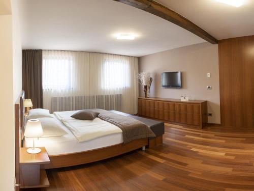科巴里德Hotel Hvala Superior - Topli Val的一间卧室配有一张大床和电视