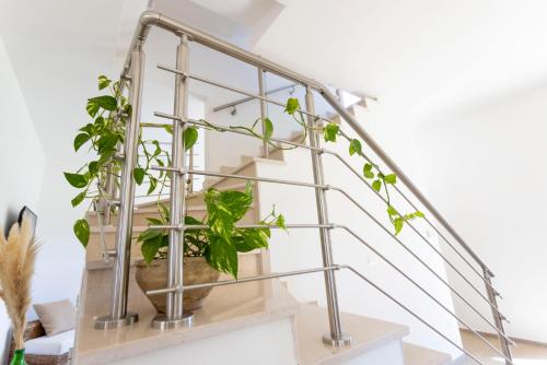 圣维托诺曼Villa Mamma Grazia Rooms的金属楼梯,与植物在锅里连在一起