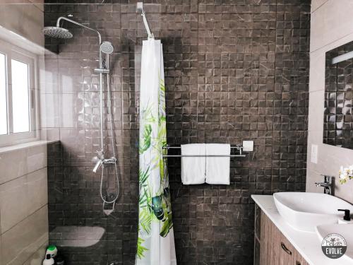 斯利马Evolve Coliving Guesthouse的带淋浴和盥洗盆的浴室