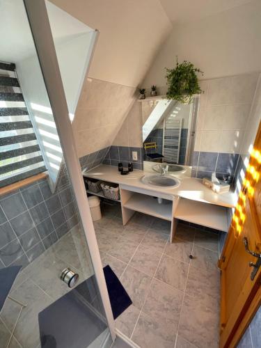 圣加蒂安代布瓦Gîte Pressoir Armand的一间带水槽和镜子的浴室