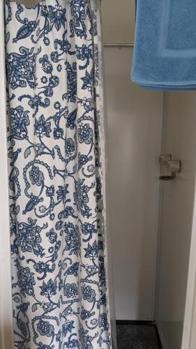 MiramonteApple Place Room #1的浴室内有蓝色和白色的浴帘
