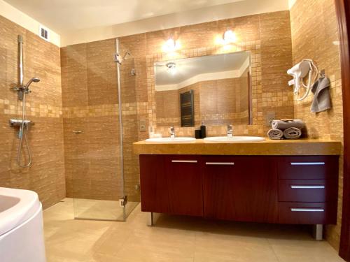 卢布林Pokoje Rezydencja Parysa的浴室配有盥洗盆和带镜子的淋浴