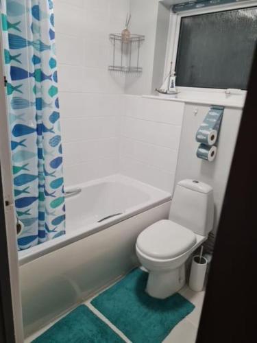 GurnardSQUIRRELSTONE的一间带卫生间和淋浴帘的浴室