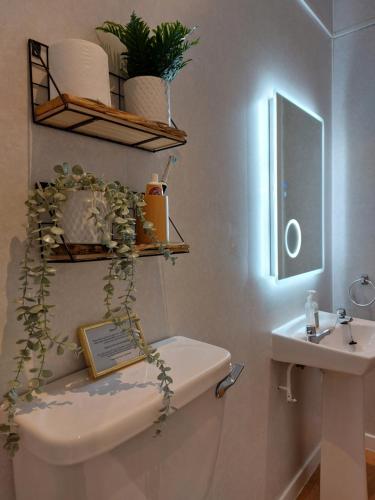 金克雷格Shetland Cottage Kincraig的浴室设有卫生间和水槽,水槽上种植了植物。