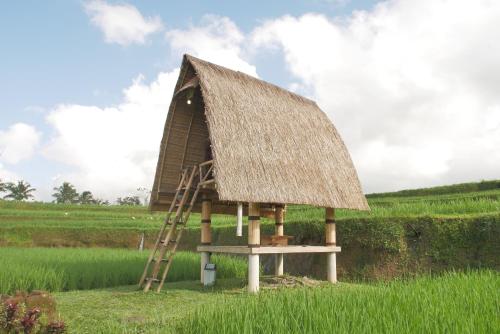 吉安雅Batan Nyuh Retreat的草屋,带梯子的田野