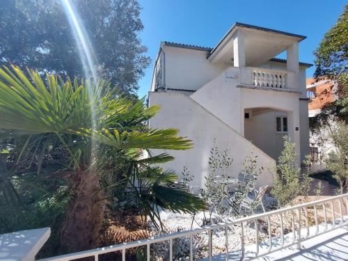 比奥格勒·纳·莫鲁Casa Blanca, Biograd na Moru的前面有棕榈树的白色房子