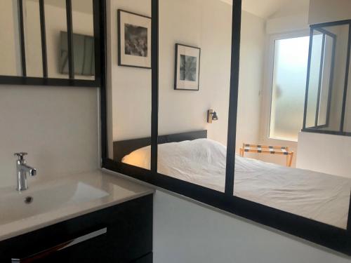 绍莱studio moderne et confortable Le nid的一间带水槽和镜子的浴室