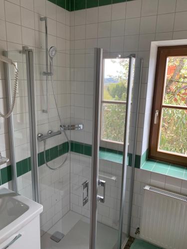 HeimschuhKoschak Wirt & Weinbauer的带淋浴的浴室和玻璃门