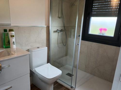 里瓦德塞利亚APARTAMENTOS LOS MANZANOS的一间带卫生间和淋浴及窗户的浴室