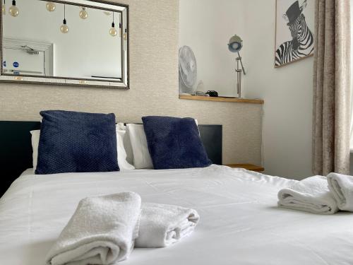布莱顿霍夫Brighton Black Hotel & Hot Tubs的一张带蓝色枕头的白色床和毛巾