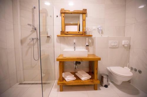 科雷尼察House Mrzlin Grad的一间带水槽、卫生间和淋浴的浴室