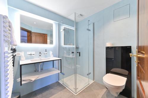 施泰因莱茵岩古堡酒店的一间带玻璃淋浴和卫生间的浴室