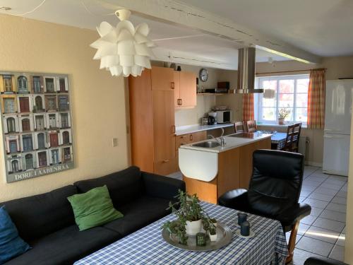 奥本罗阁楼度假屋的带沙发和桌子的客厅以及厨房。