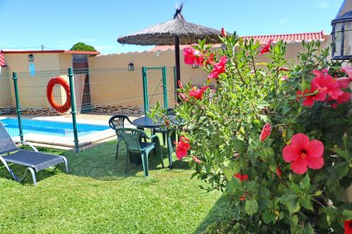 科尼尔-德拉弗龙特拉Bungalow Curro Pareja 97的后院设有游泳池、桌椅和鲜花
