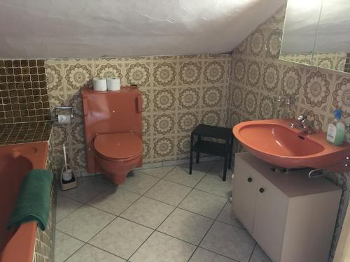 ValchavaJambo的一间带红色卫生间和水槽的浴室