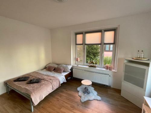 梅尔尼克Apartmán Na Polabí的卧室配有一张床,地板上还有一只狗