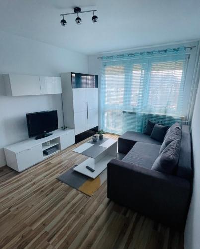 格丁尼亚Elli apartament的带沙发和电视的客厅
