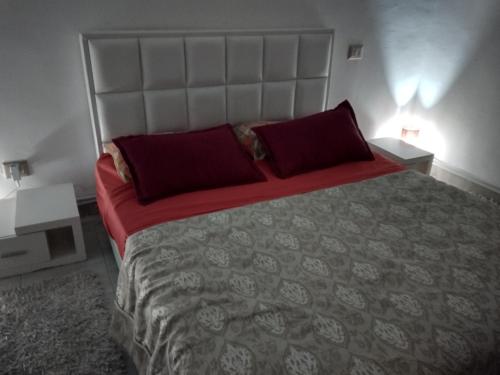 突尼斯Silverwood的一间卧室配有一张带红色枕头的大床
