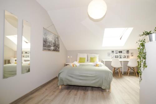 克莱蒙费朗Duplex République的白色卧室配有床和镜子