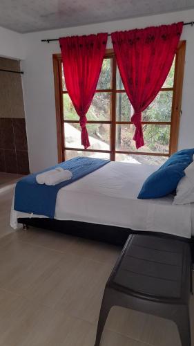 圣玛尔塔EcoHostal Tierra Prometida的一间卧室配有床和红色窗帘的窗户