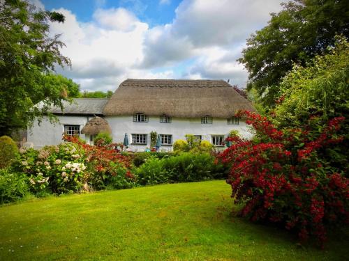 锡德茅斯The Barn and Pinn Cottage的花园中带茅草屋顶的白色房屋