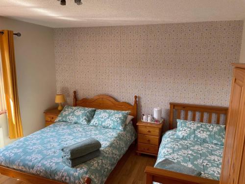 巴利卡斯尔Church View B&B的一间卧室配有一张床和两个枕头