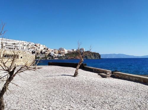埃尔莫波利斯Casa di Syrii的两棵树坐在靠近水面的海滩上