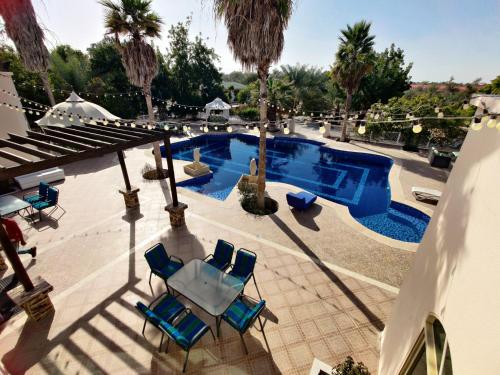 阿布扎比Sara Farm的一个带蓝色椅子的游泳池,棕榈树