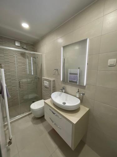 希贝尼克Apartments Galic的一间带水槽、卫生间和镜子的浴室