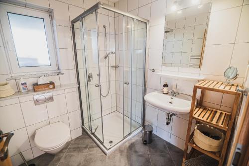 斯洛文尼亚科尼采Apartment pri Povhih的带淋浴、卫生间和盥洗盆的浴室