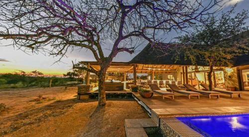 巴卢莱自然保护区Imagine Africa Luxury Tented Camp的一座树屋和一个游泳池