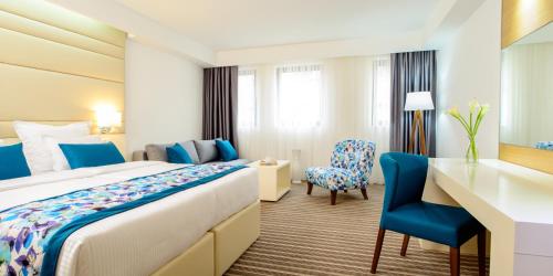 萨拉热窝节日酒店的配有一张床和一张书桌的酒店客房