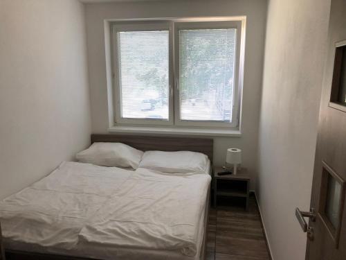 比托福Chata Relax的一间小卧室,配有床和2个窗户
