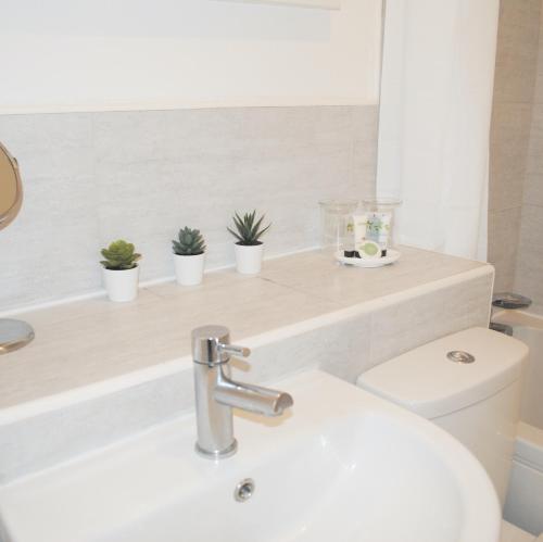 布里斯托Bellevue Apartment的浴室设有水槽,卫生间的架子上种植了植物。