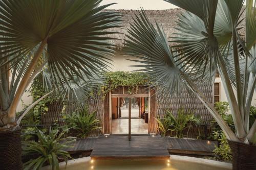 图卢姆Hotel Ma'xanab Tulum的种有棕榈树的庭院和木制走道