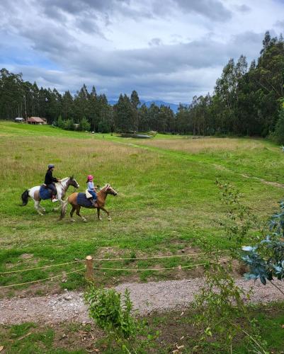 卡扬贝Palumbo Glamping & Villas的两个人在田野里骑马