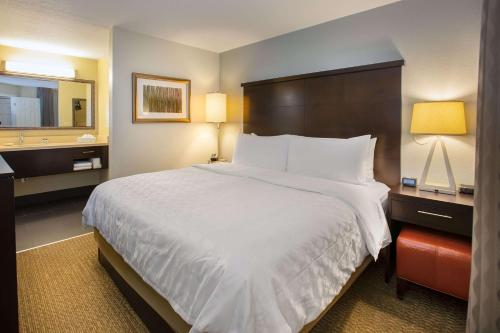 奥兰多Sonesta ES Suites Orlando - Lake Buena Vista的配有一张大床和镜子的酒店客房