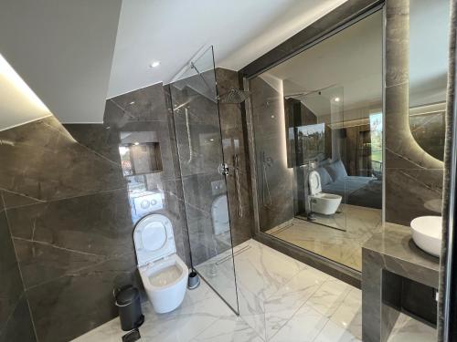 佩科霍里V luxury Suites的带淋浴、卫生间和盥洗盆的浴室