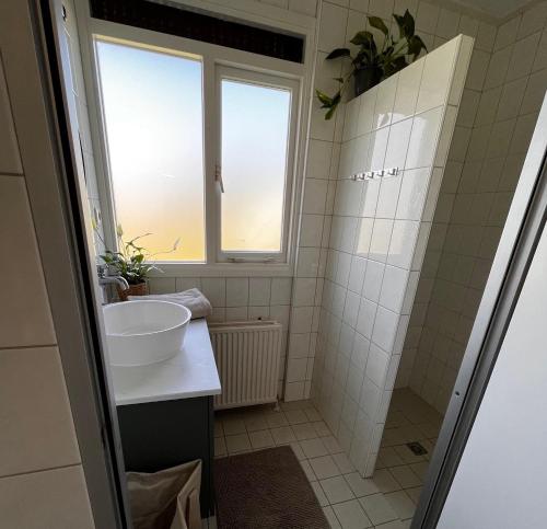 代讷坎普Fijne plek met eigen bos 2000m2 en GRATIS linnen en handdoeken!!的一间带水槽和窗户的浴室