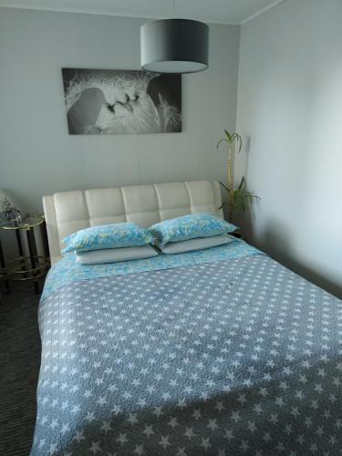 阿利图斯Puikus apartamentai的一间卧室配有一张带蓝白色毯子的床